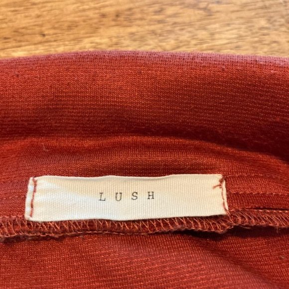 LUSH Short Bodycon Skirt in Rust M - Picture 2 of 5